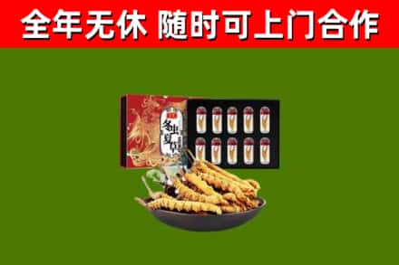 淇滨区回收冬虫夏草价格